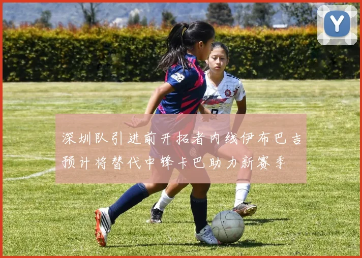 深圳队引进前开拓者内线伊布巴吉预计将替代中锋卡巴助力新赛季