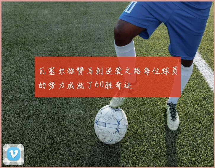瓦塞尔称赞马刺逆袭之路每位球员的努力成就了60胜奇迹
